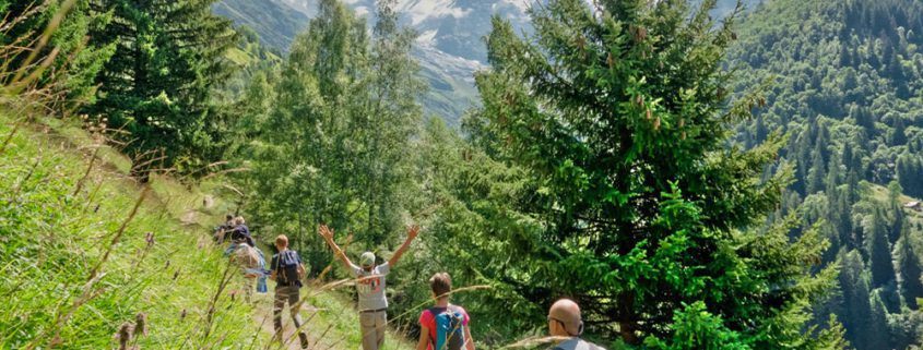 tour du mont blanc