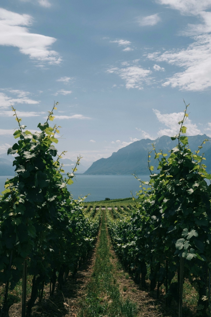 lac léman