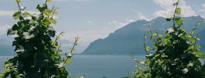 lac léman